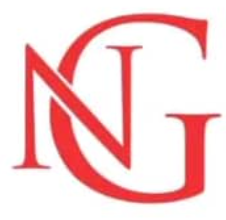 NG detailing logo